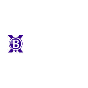 Balloon-X